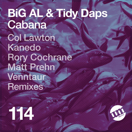 BiG AL, Tidy Daps - Cabana [UMR114]